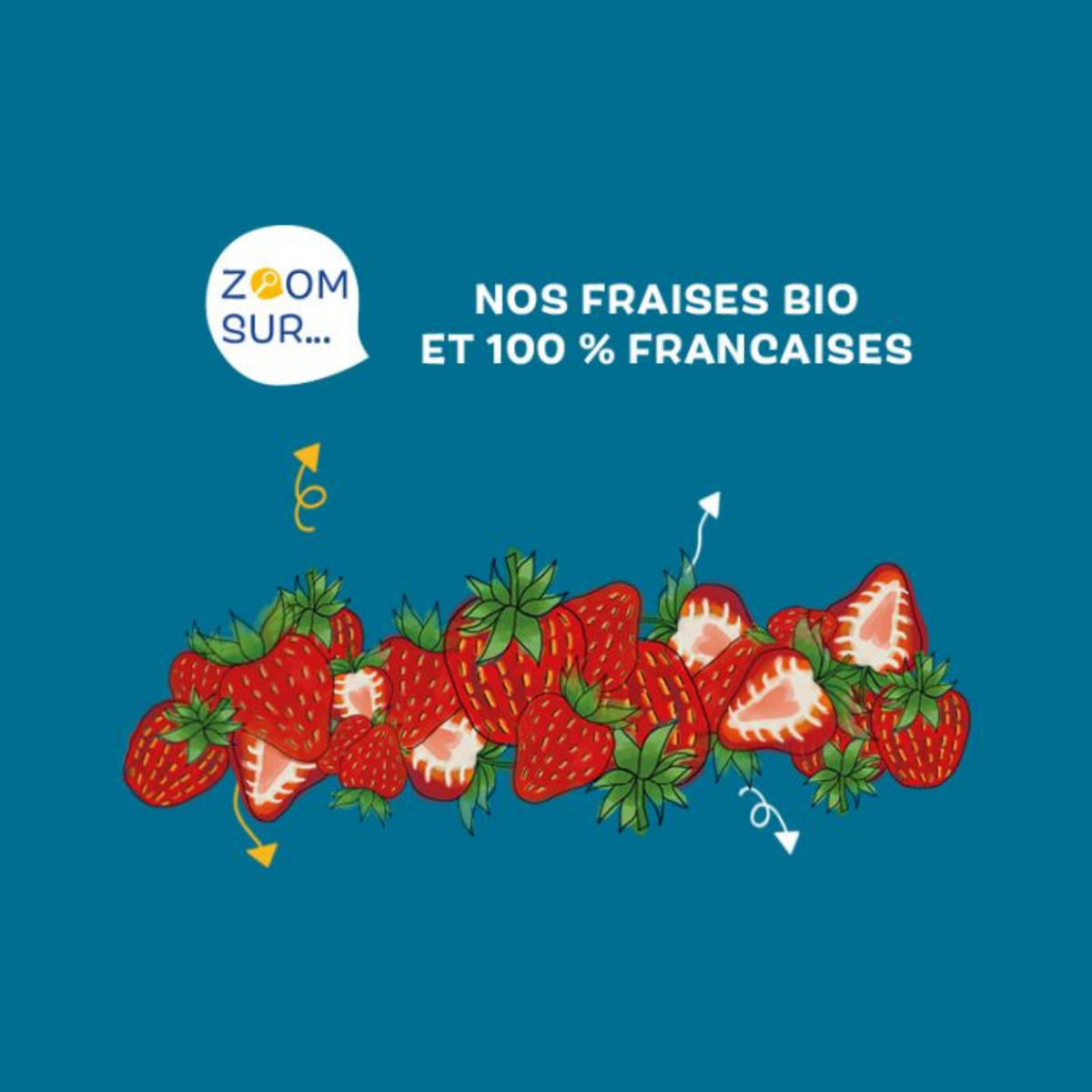 La filière "fraises" bio et 100 % française chez Biocoop